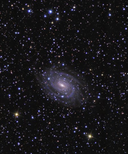 NGC 6384:   